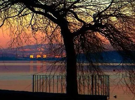 Noemys Viviers-du-Lac